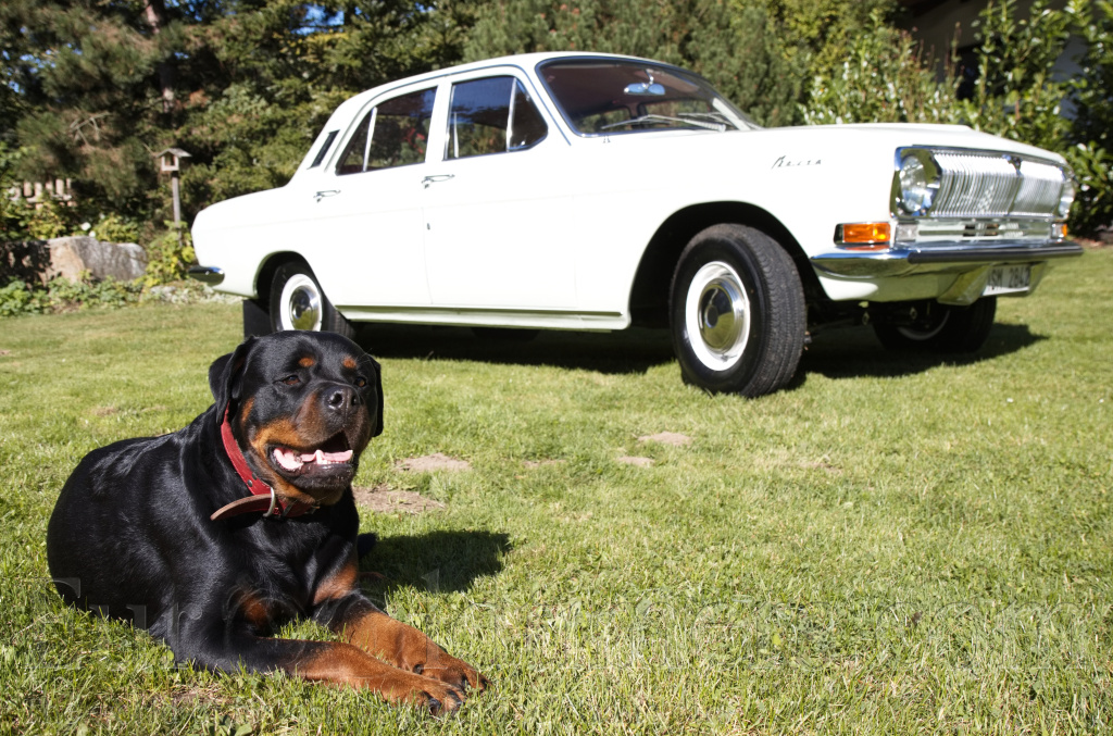 GAZ-24 Volha I. série (1971) nová cena