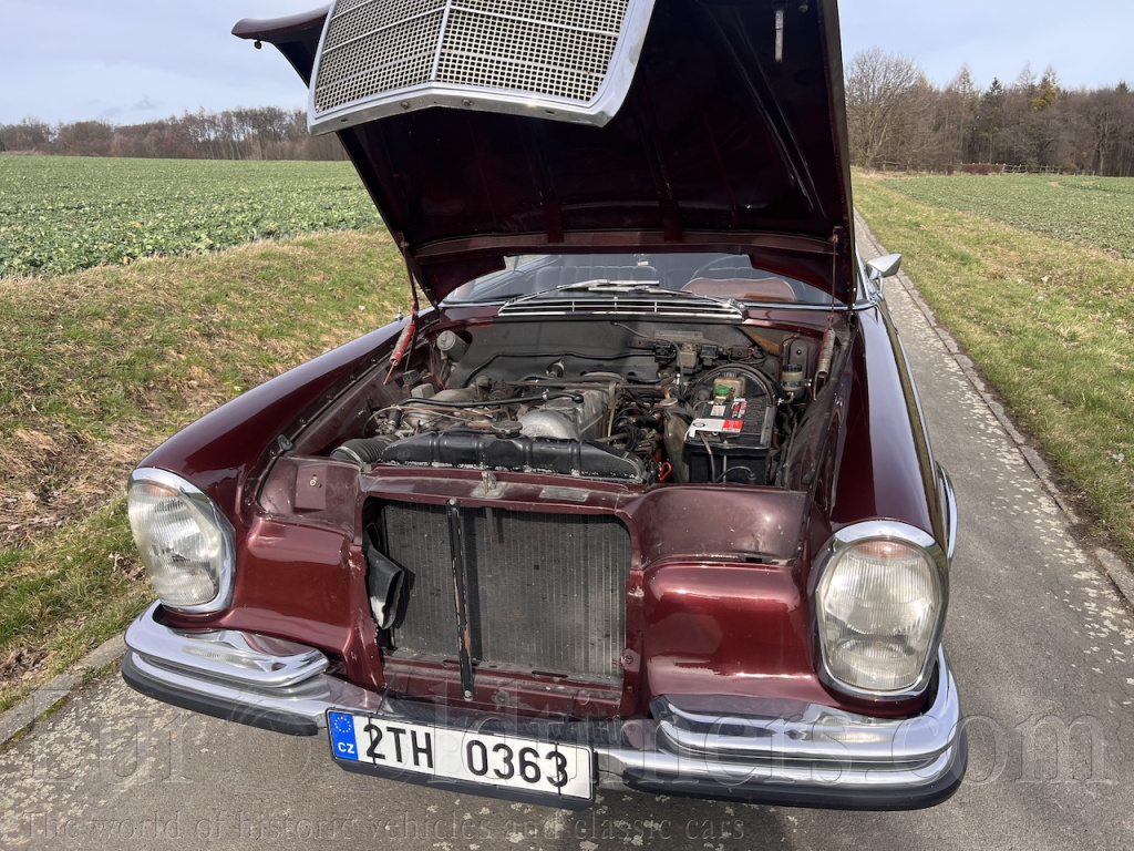 Mercedes 250 SE/C 1965 (W111) 
