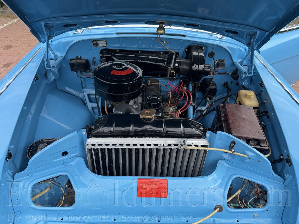 Volha Gaz 21, top