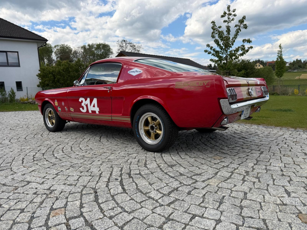 Ford Mustang Fastback 1965 289 ci 