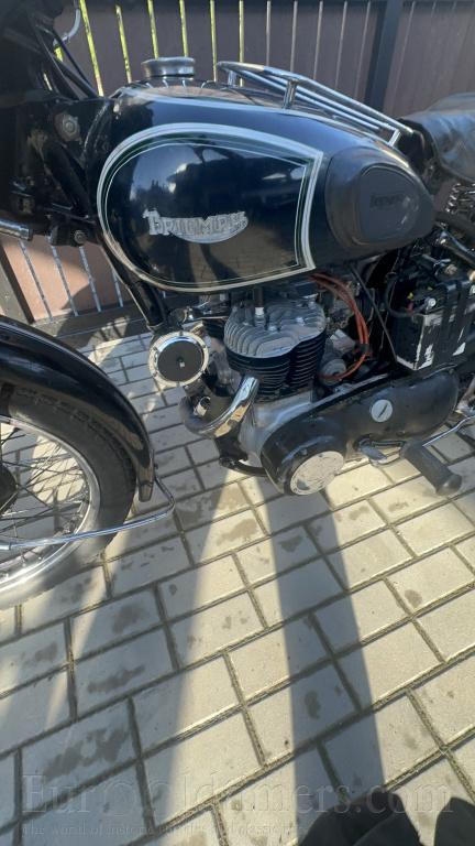 Triumph TRW 500
