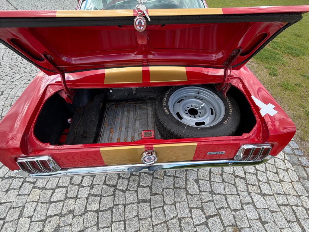 Ford Mustang Fastback 1965 289 ci 