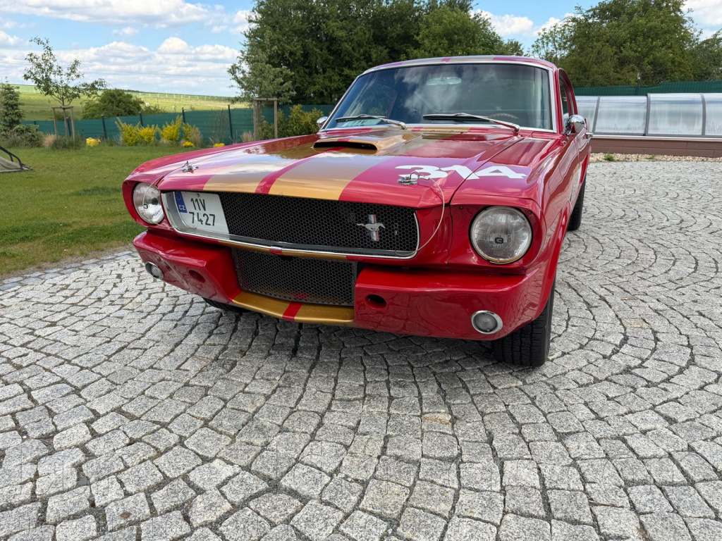 Ford Mustang Fastback 1965 289 ci 