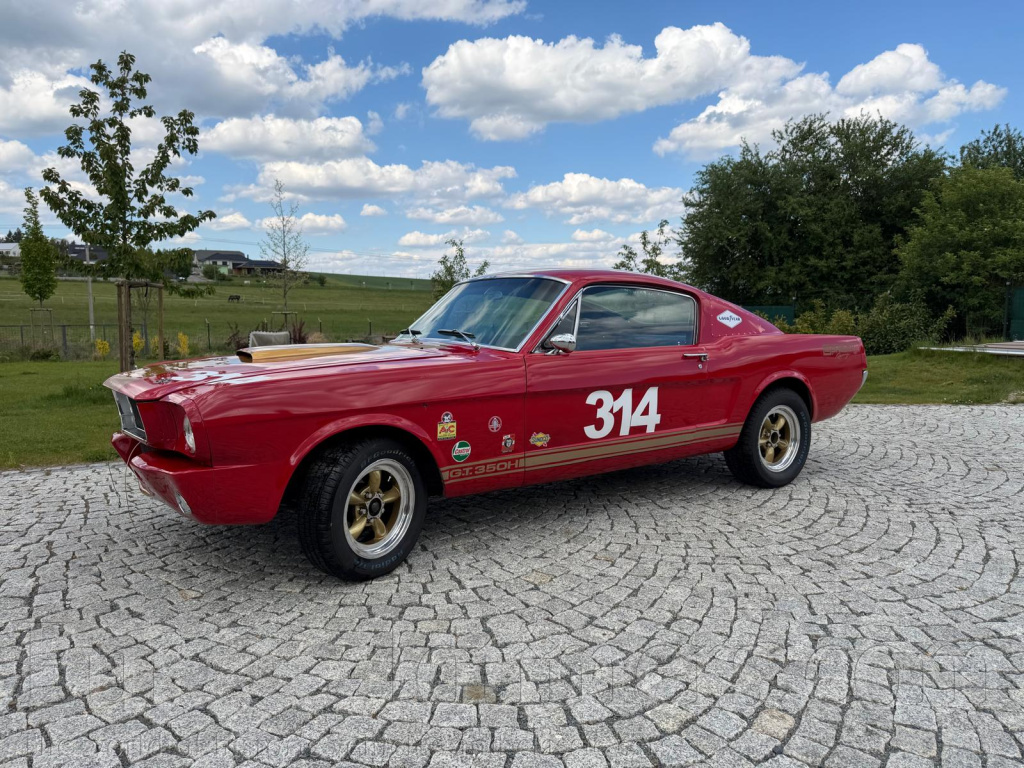 Ford Mustang Fastback 1965 289 ci 