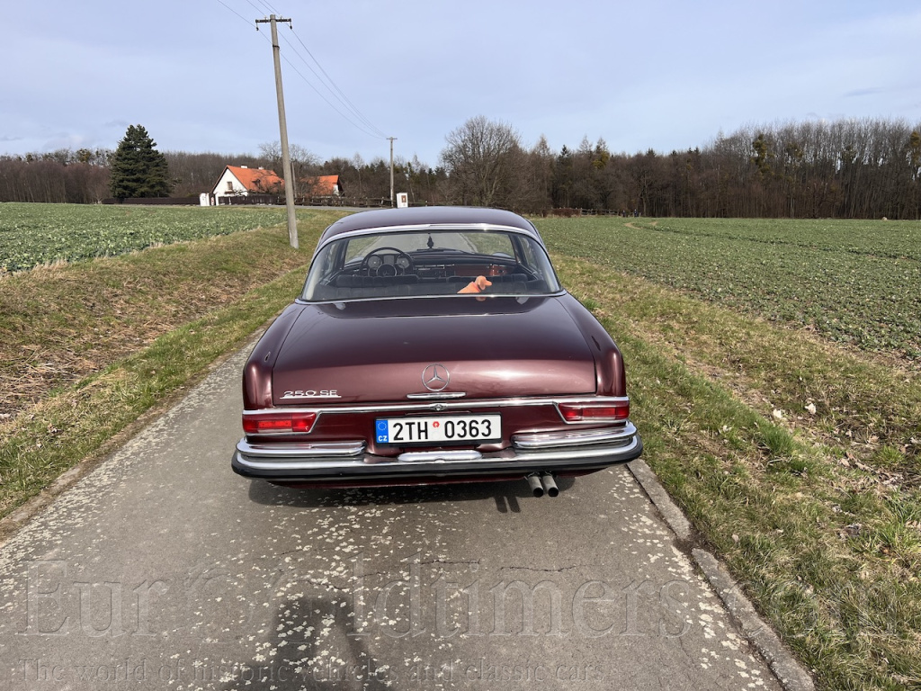Mercedes 250 SE/C 1965 (W111) 
