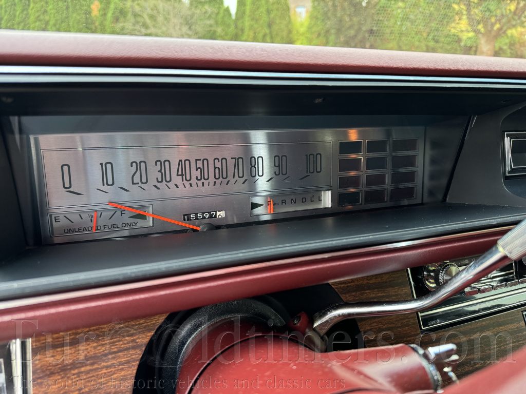 Buck Electra Custom Landau Coupe 1976