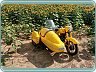 Jawa 350 ČZ 361 (1960) sajdkára+páv