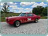 Ford Mustang Fastback 1965 289 ci 