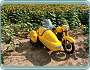 Jawa 350 ČZ 361 (1960) sajdkára+páv