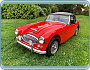 Austin Healey Bj8