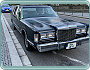 LINCOLN TOWN CAR V8 5L 