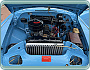 Volha Gaz 21, top