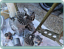 Harley-Davidson 1920 F 1000 IOE Project