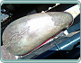 Jawa 250 Pérák FJ (1947) TP + sada Ogar