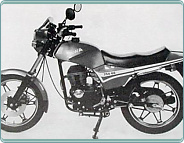 (1985) Jawa 250 typ 822 (prototyp)