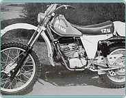 (1982) Jawa 125 (ISDT) terénní závodní
