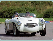 (1955) Austin Healey 100S