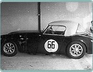 (1961) Austin Healey 3000 (závodní verze)