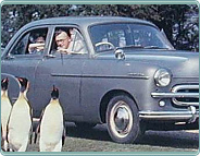(1953) Vauxhall Wyvern 1507ccm