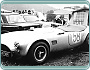 (1962-67) AC Cobra 289 (4728 ccm)