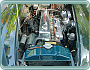(1956-59) Austin Healey 100 BN 4, BN 6