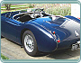 (1955) Austin Healey 100 